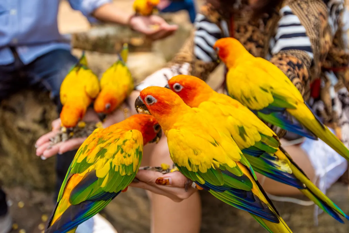 Safari World — photo 3