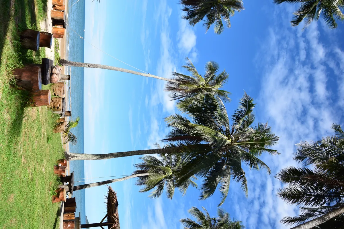 Sai Ri Sawi Beach — photo 4