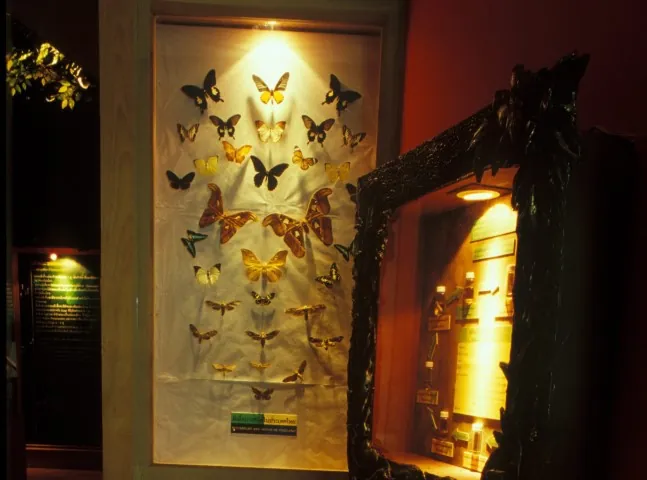 Saithip Butterfly Garden — photo 2