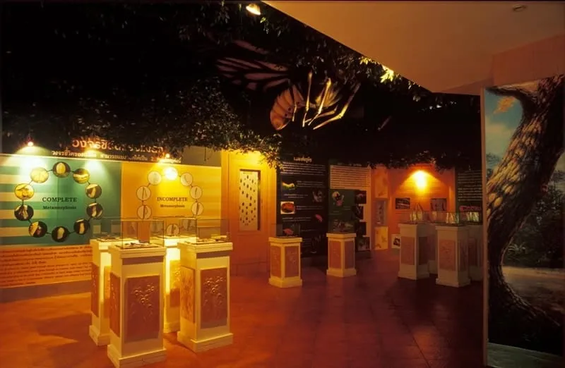 Saithip Butterfly Garden