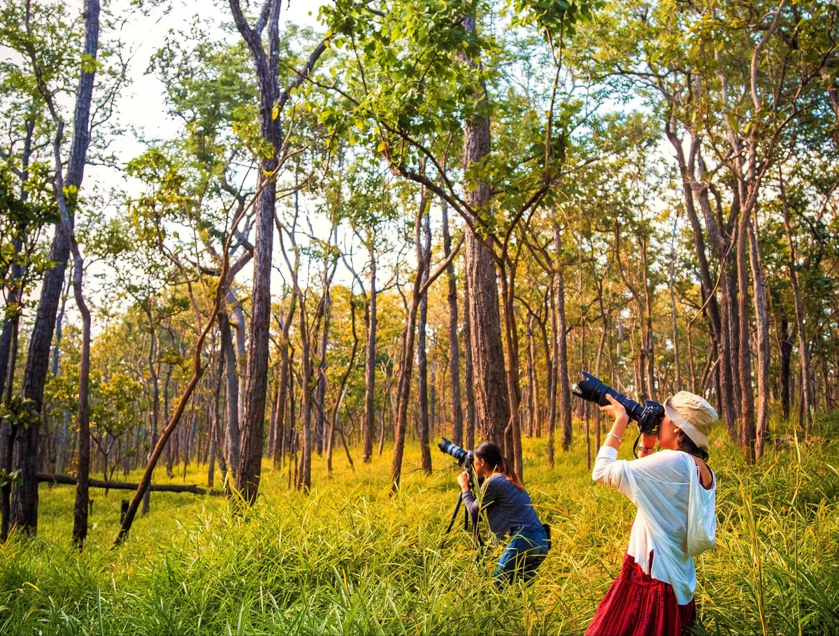 Sakaerat Environmental Research Station
