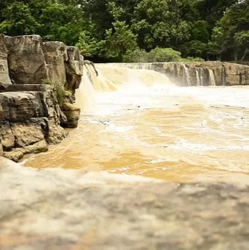 Sakunothayan Arboretum