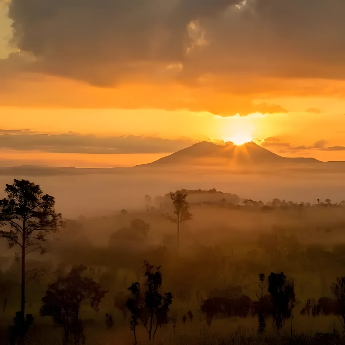 Sala Dusita Sunrise Viewpoint