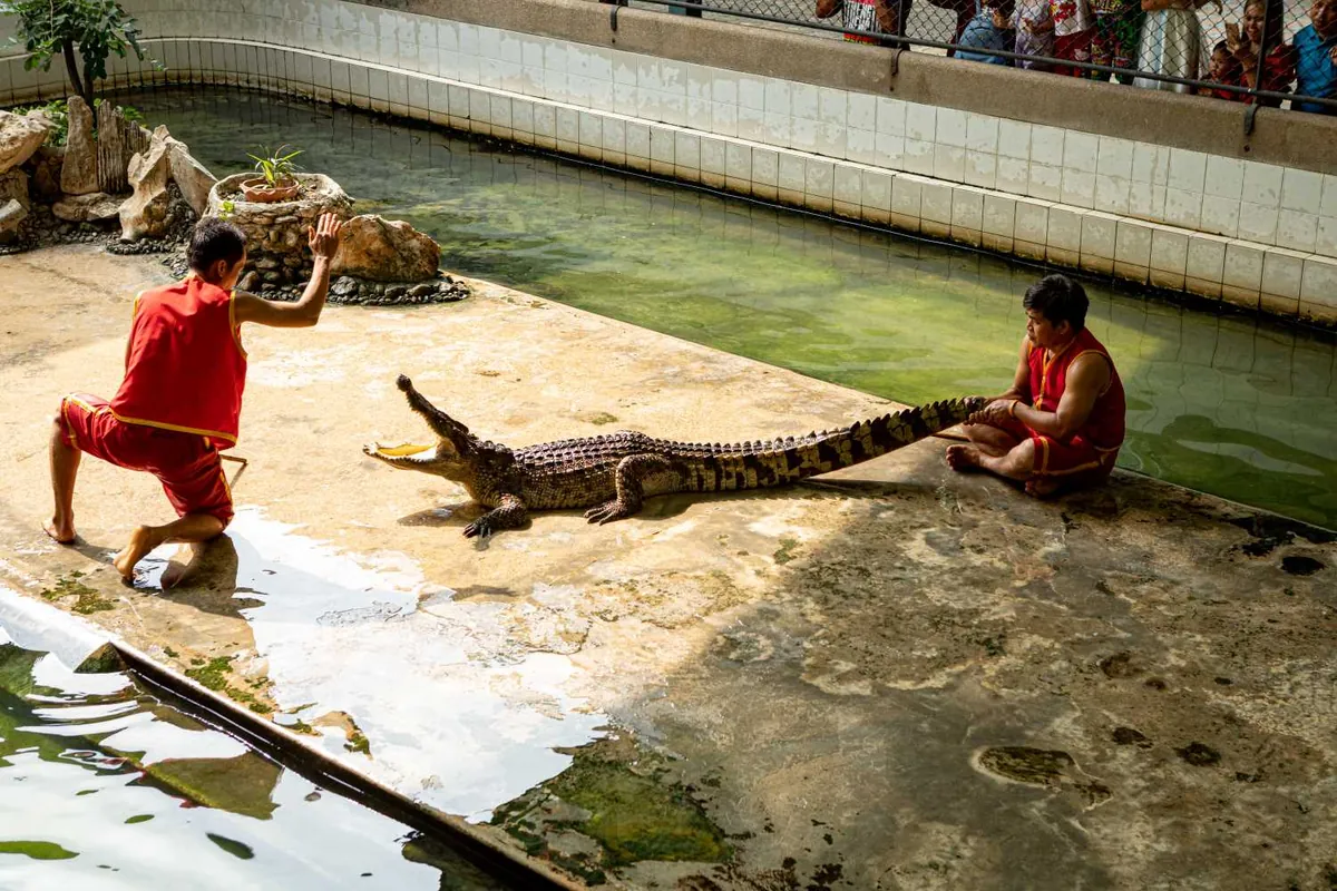 Samphran Elephant Ground and Crocodile Farm — photo 3