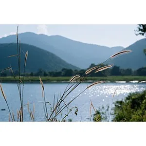 Sarit Phong Dam (Thamnop Phra Ruang) — photo 2