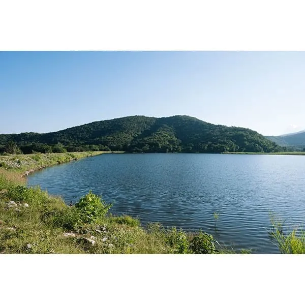 Sarit Phong Dam (Thamnop Phra Ruang)