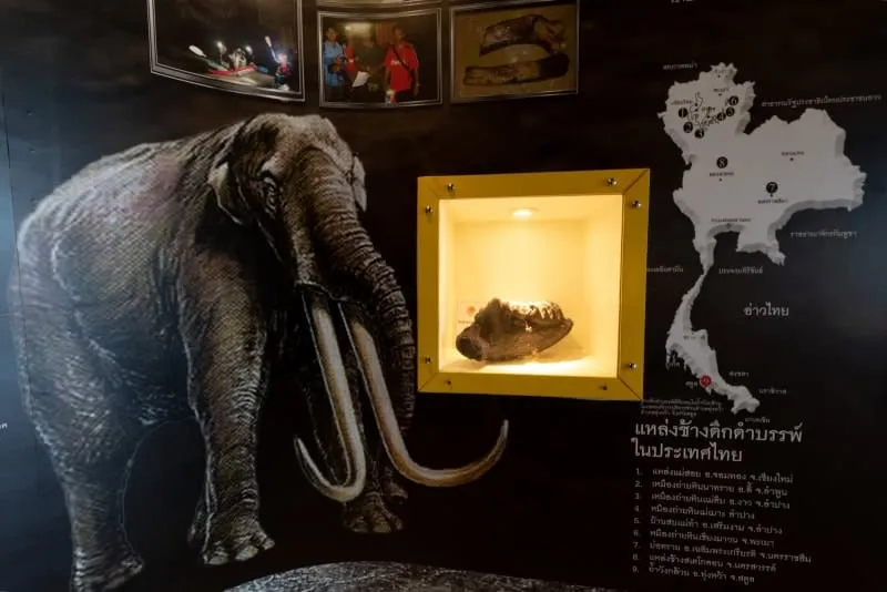 Satun Geopark Museum and Thung Wa Stegodon Museum