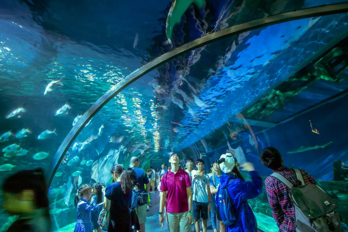 Sea Life Bangkok Ocean World — photo 2