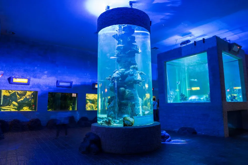 Si Sa Ket Aquarium (Aquatic Animal Species Exhibition Centre) — photo 2