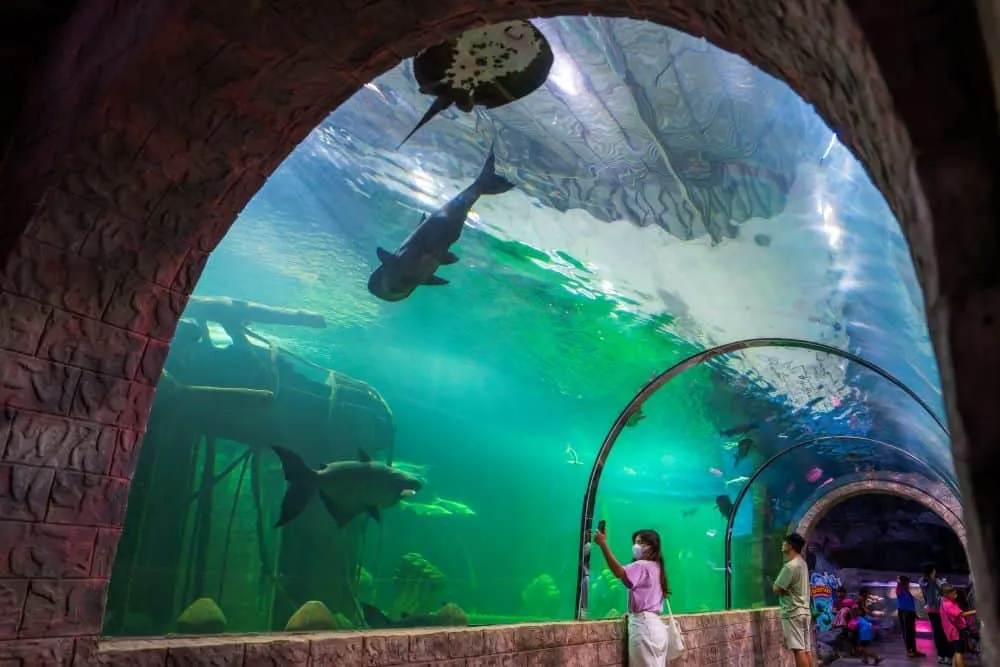 Si Sa Ket Aquarium (Aquatic Animal Species Exhibition Centre)