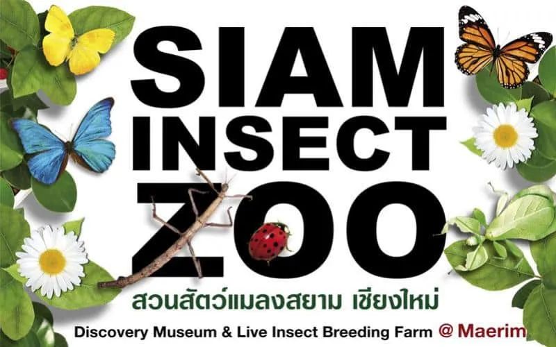 Siam Insect Zoo