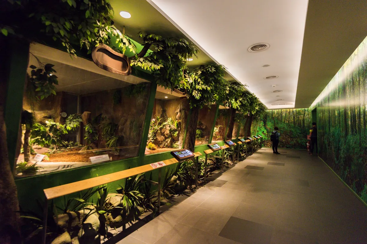 Siam Serpentarium — photo 3