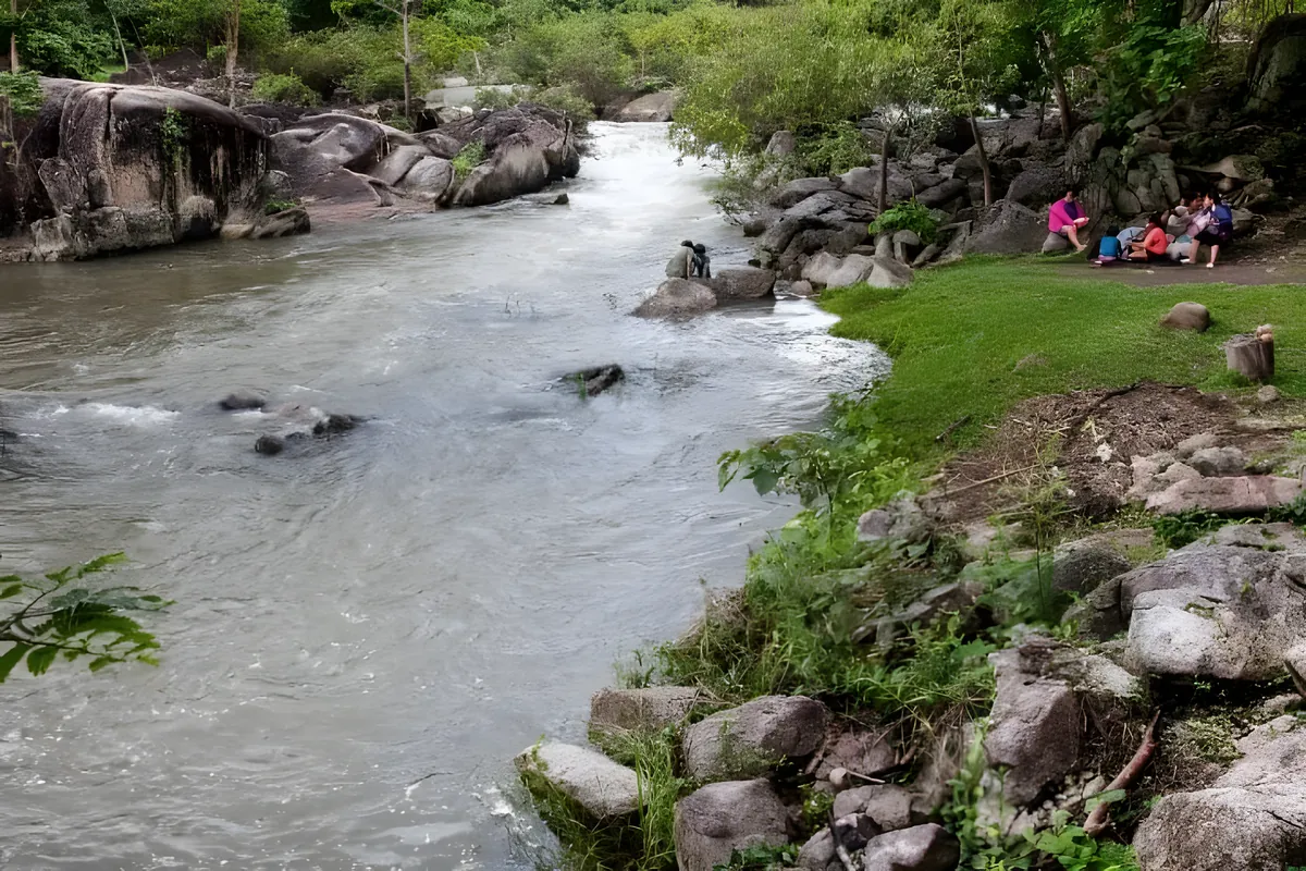Sirikit Forest Garden