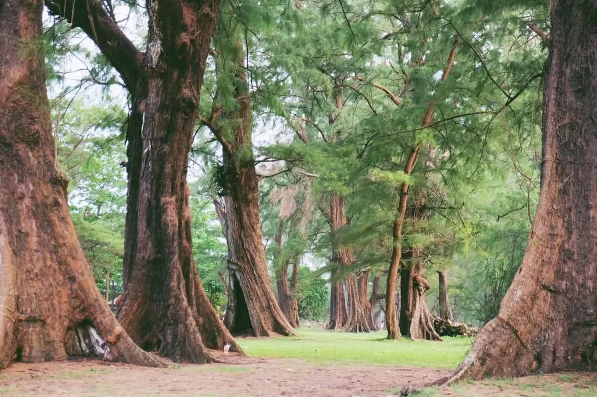 Sirinat National Park