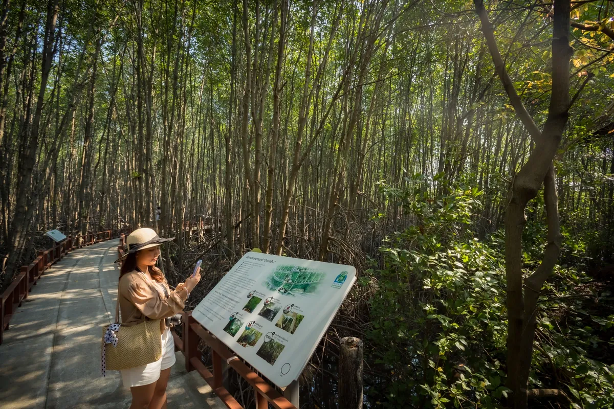 Sirinath Rajini Centre for Mangrove Forest Studies — photo 4