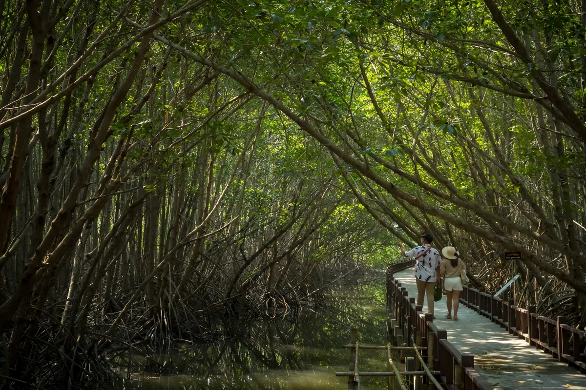 Sirinath Rajini Centre for Mangrove Forest Studies — photo 2
