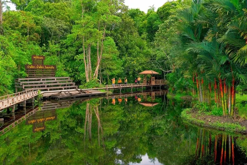 Sirindhorn Peat Swamp Forest Nature Research and Study Centre