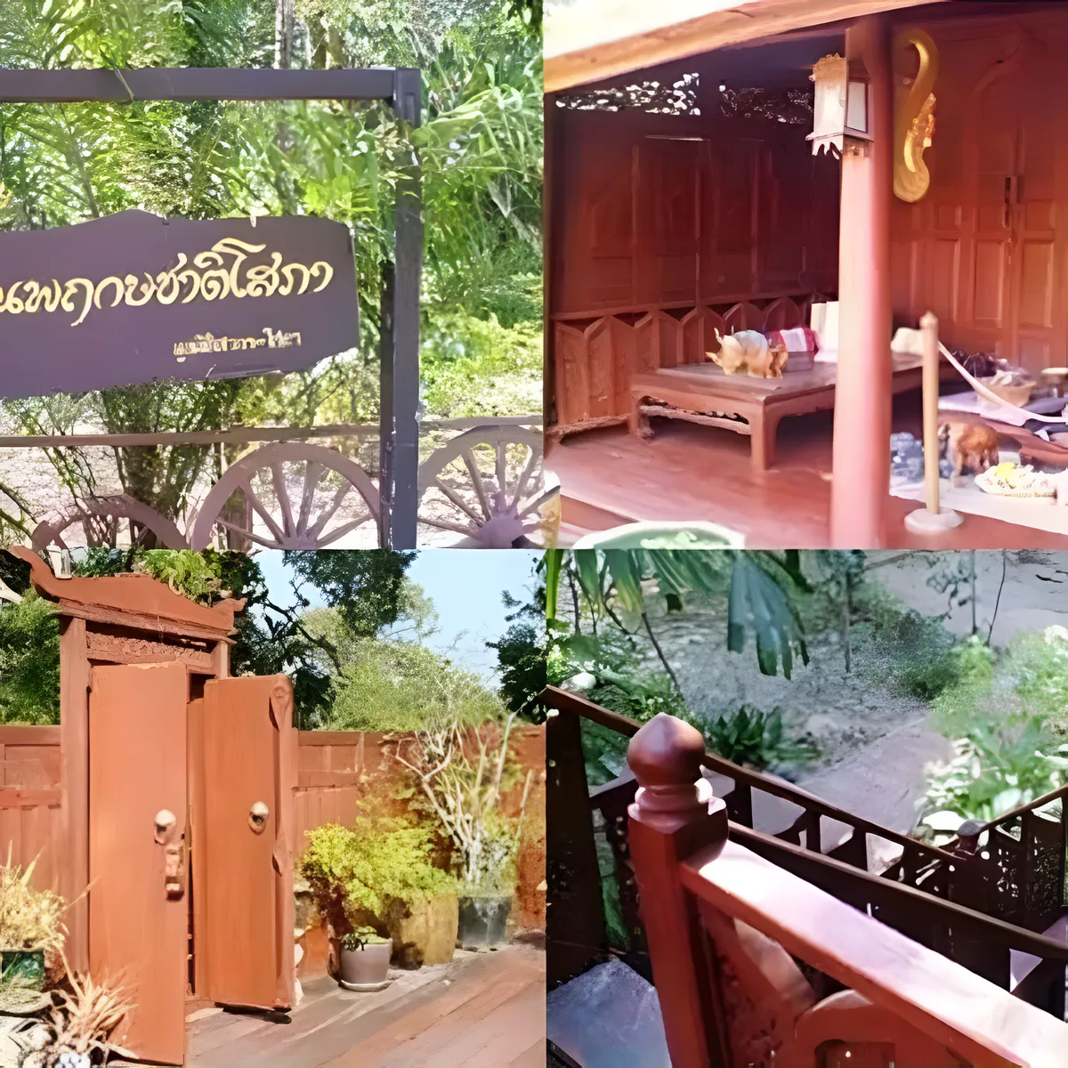 Sopha Arboretum