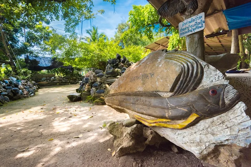 Stone Fish Museum — photo 2