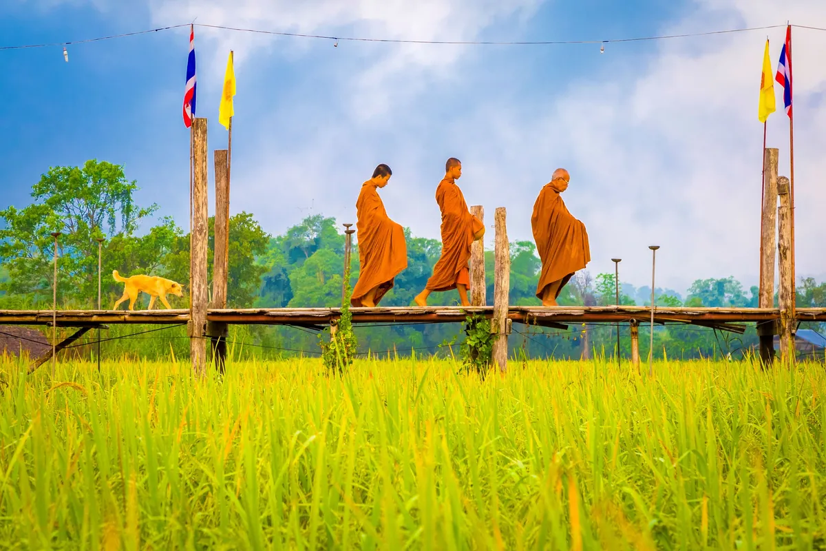 Su Tong Pe Bridge, Tham Phu Sama Park — photo 2