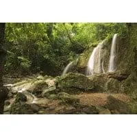 Sub Chompu Arboretum