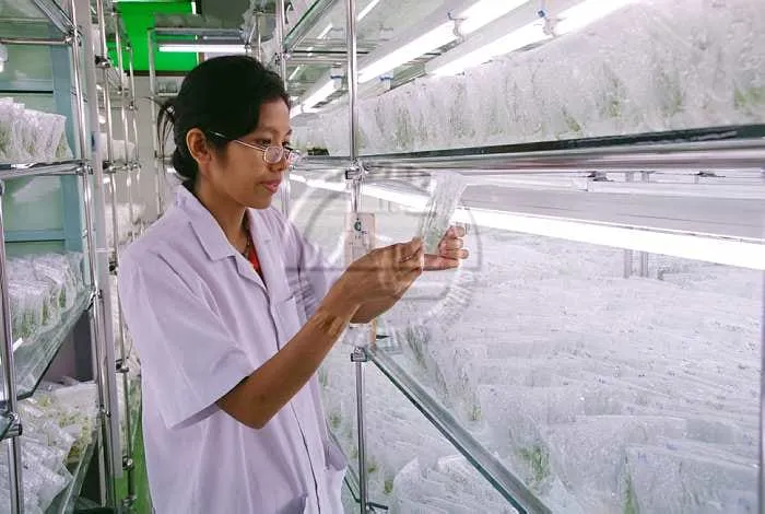 Suphan Buri Pest Management Center