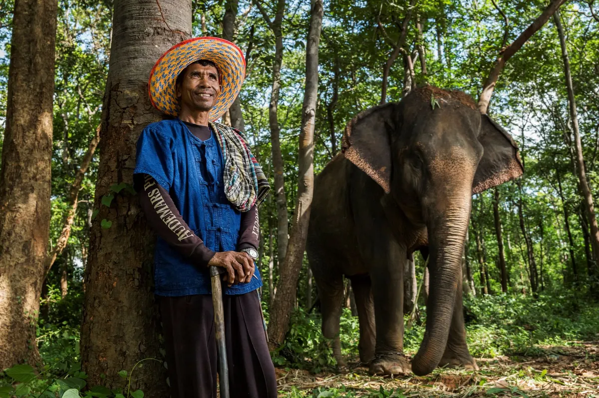 Surin Elephant Village — photo 2