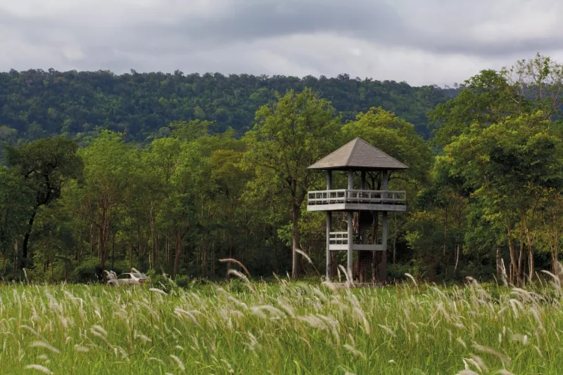 Ta Phraya National Park — photo 3