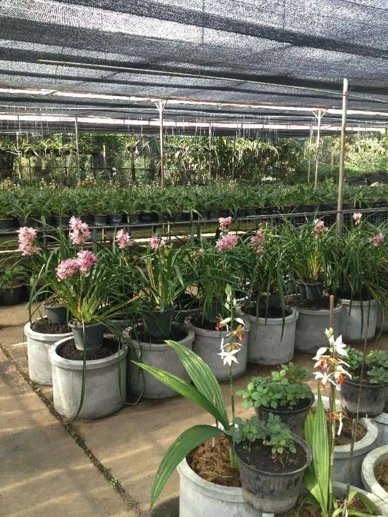 Tak Agriculture Research and Development Center