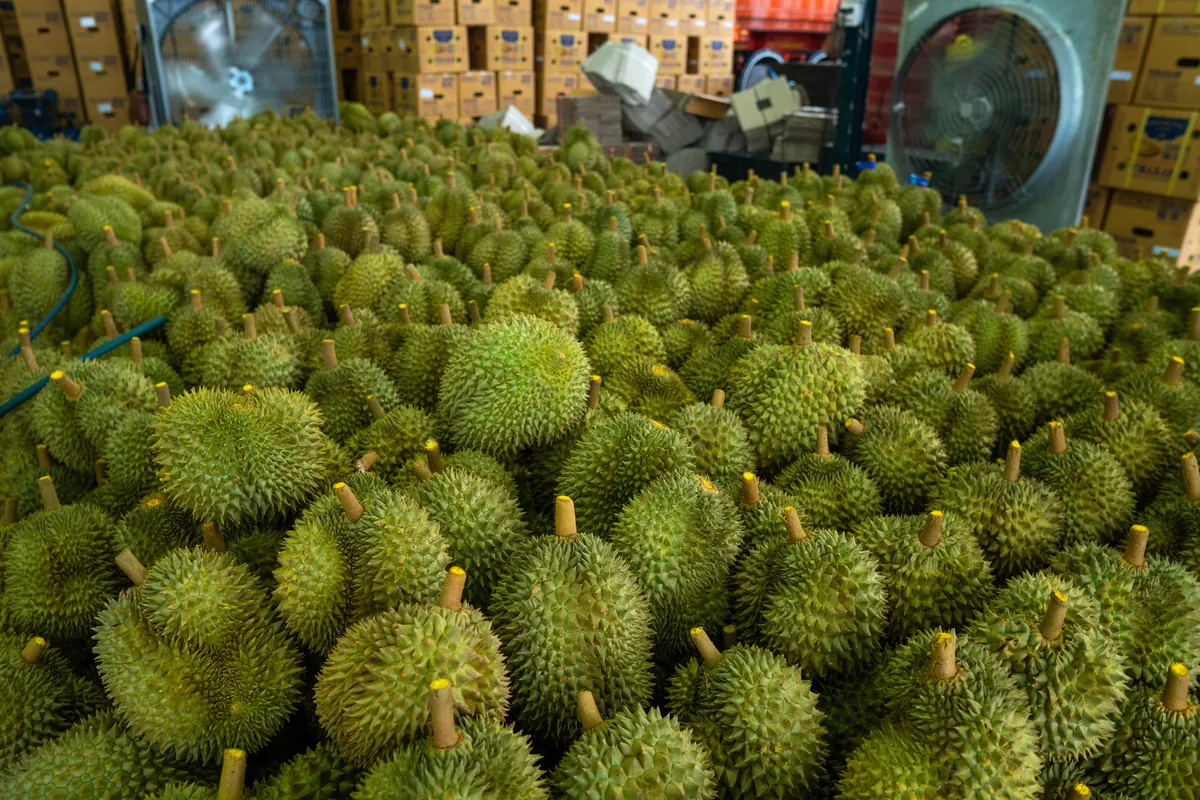 Talaad Thai Market