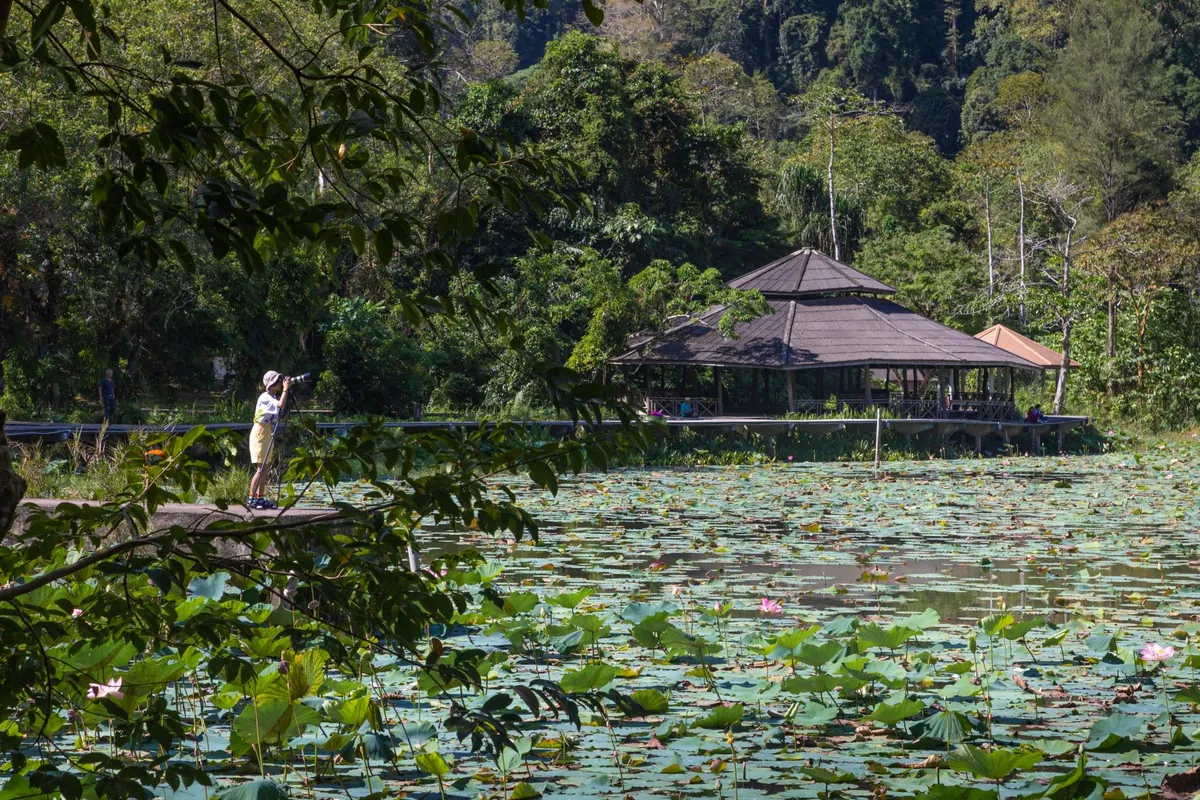 Talay Ban National Park — photo 2
