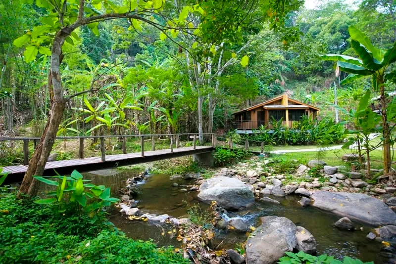 Teen Tok Royal Project Development Center