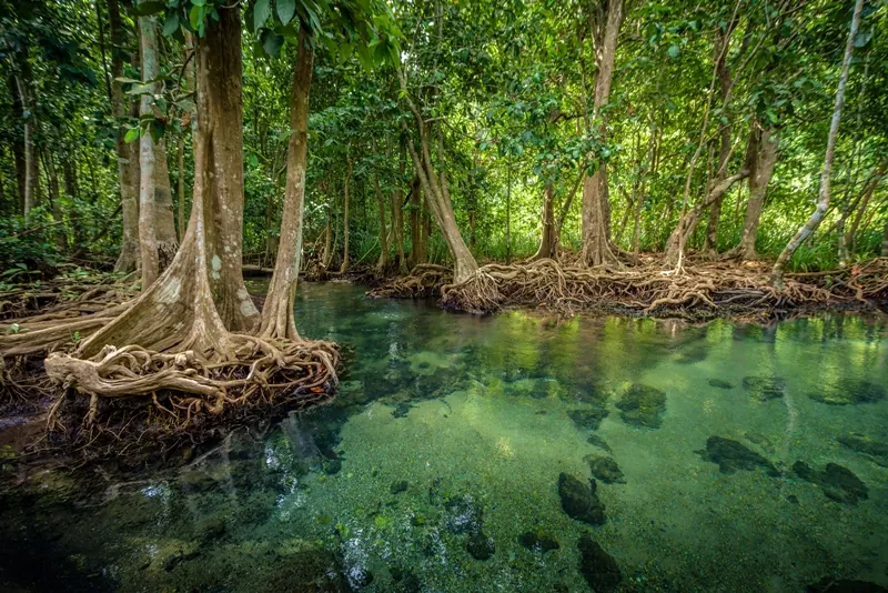 Tha Pom Klong Song Nam — photo 3