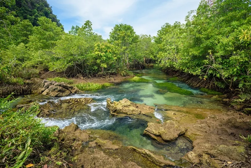 Tha Pom Klong Song Nam — photo 2