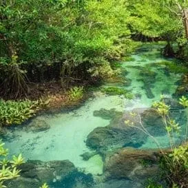 Tha Pom Klong Song Nam