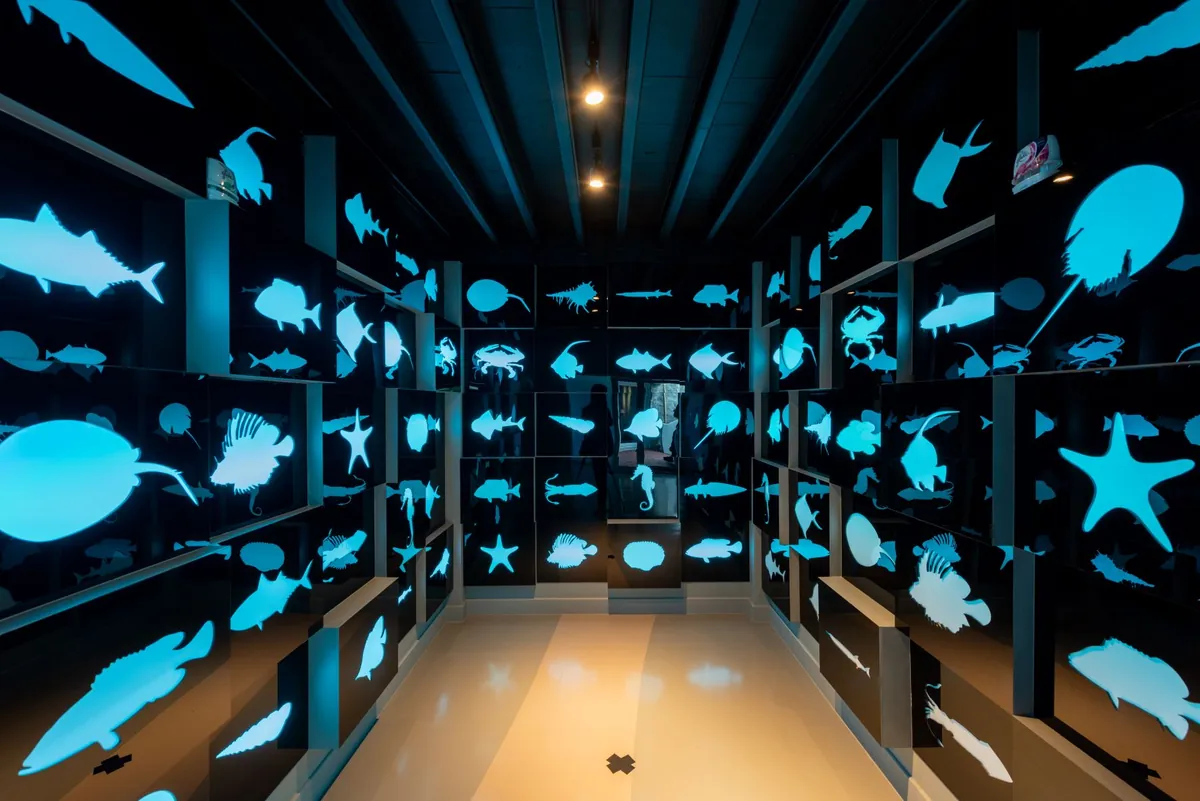 Thai Island and Sea Natural History Museum (Samaesan Island) — photo 2