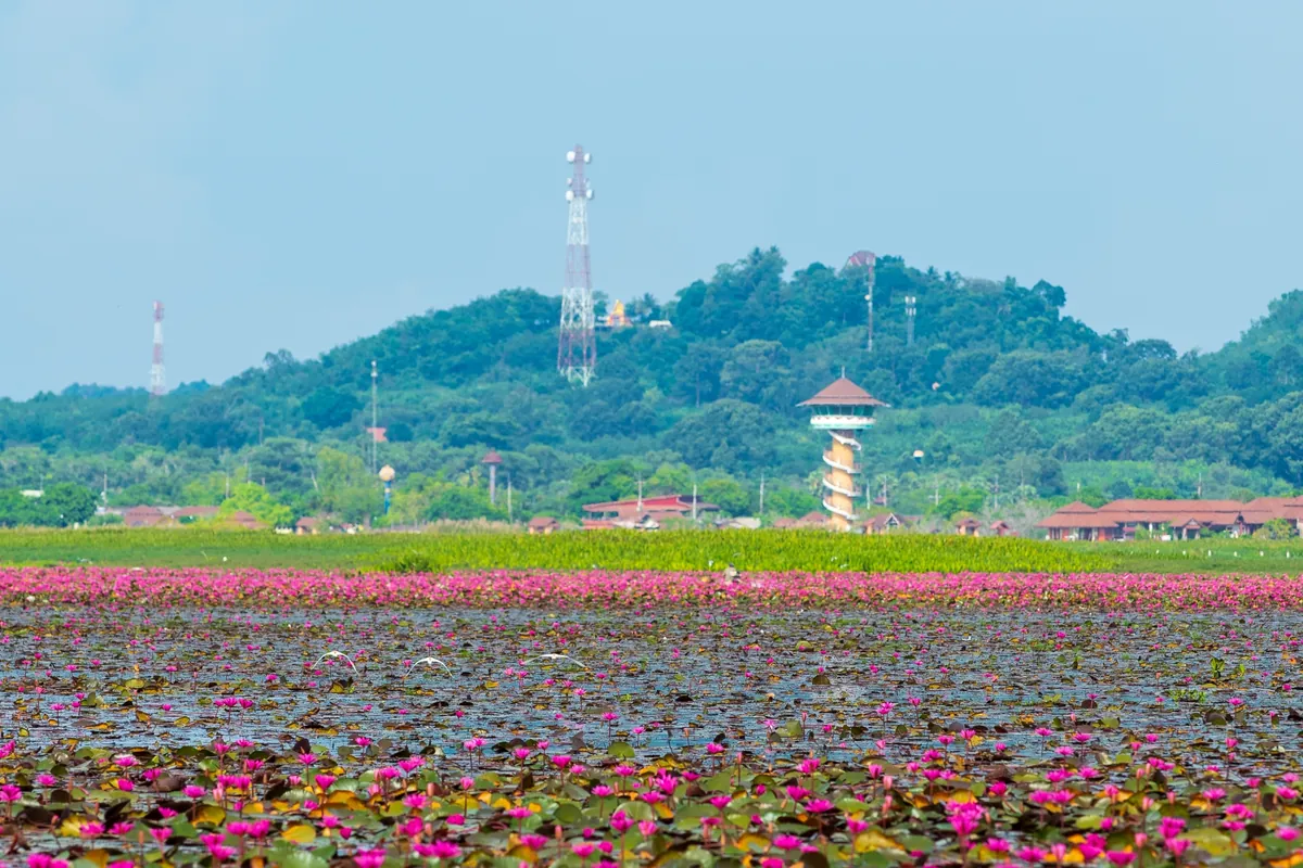 Thale Noi — photo 3