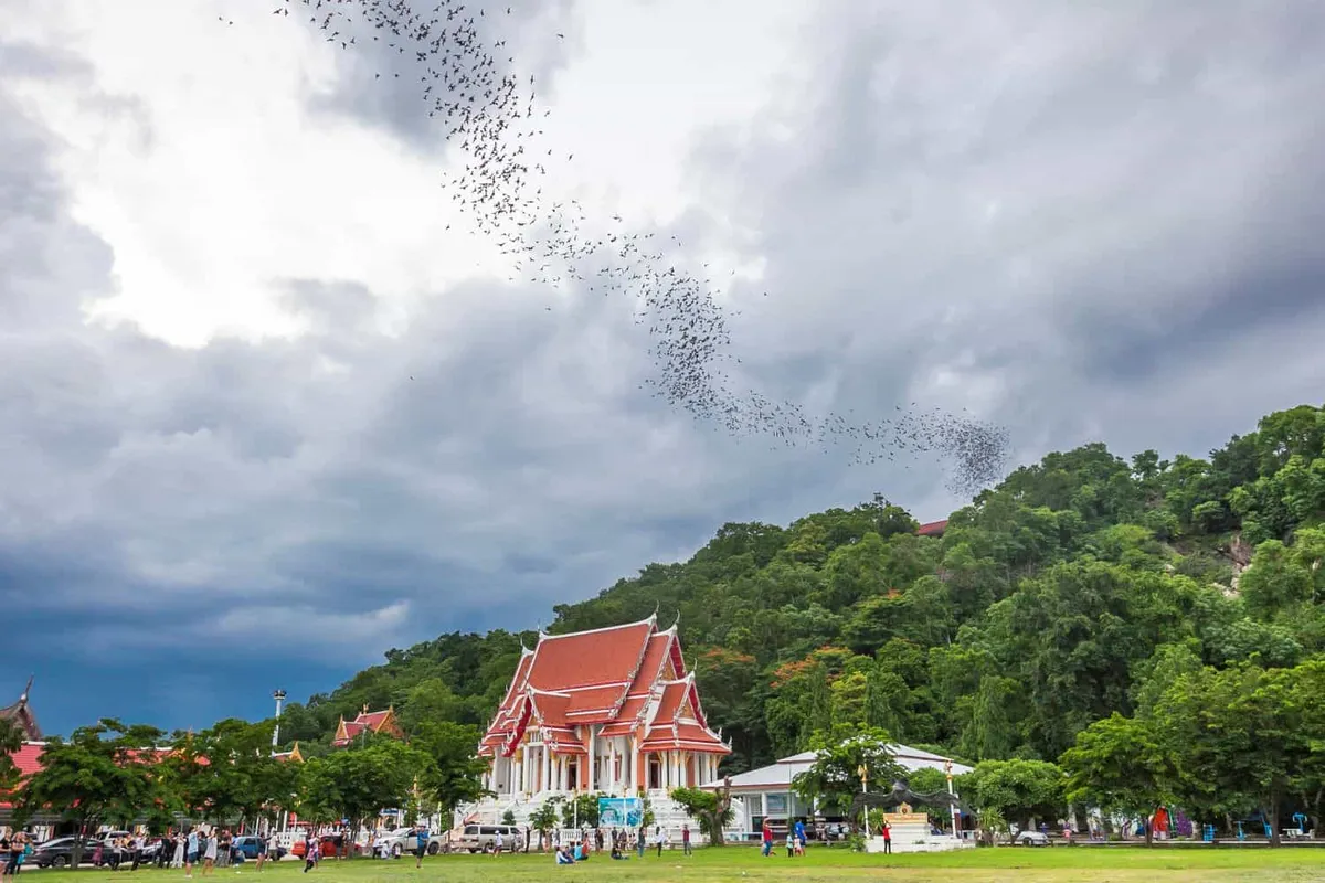 Tham Khang Khao, Khao Chong Phran