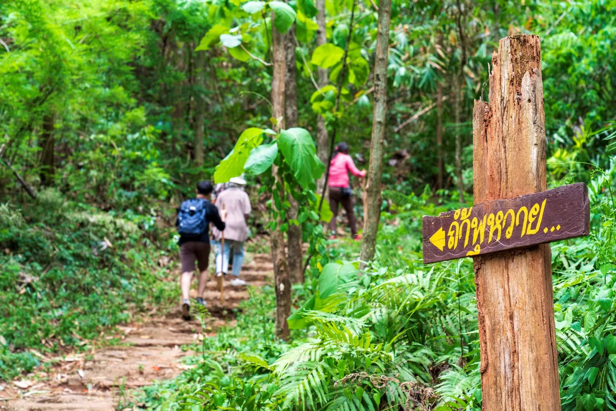 Tham Khao Wong Forest Park (Phu Wai Cave) — photo 2
