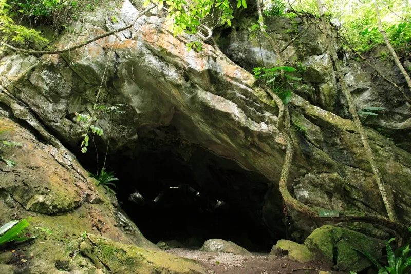 Tham Phet Pho Tong — photo 3