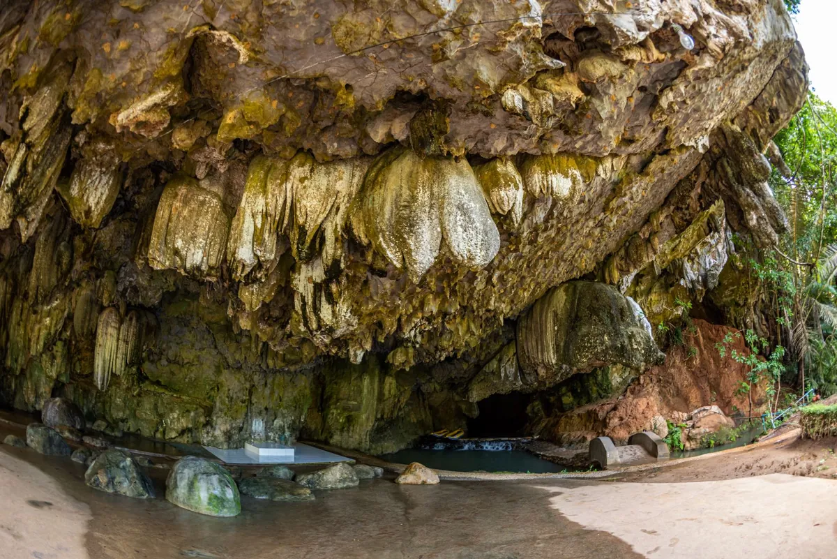 Tham Phung Chang — photo 3