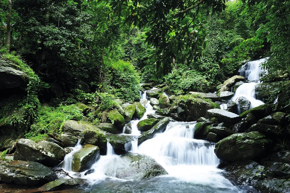 Tham Sa Koen National Park — photo 2