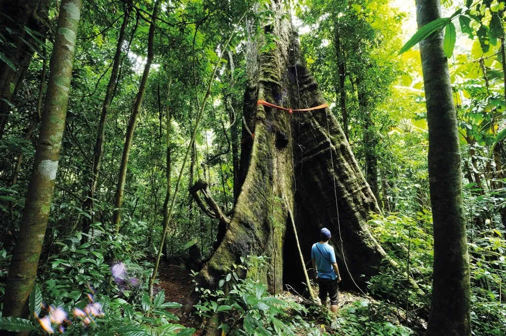 Tham Sa Koen National Park — photo 3