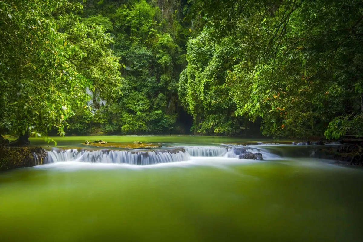 Than Bok Khorani National Park