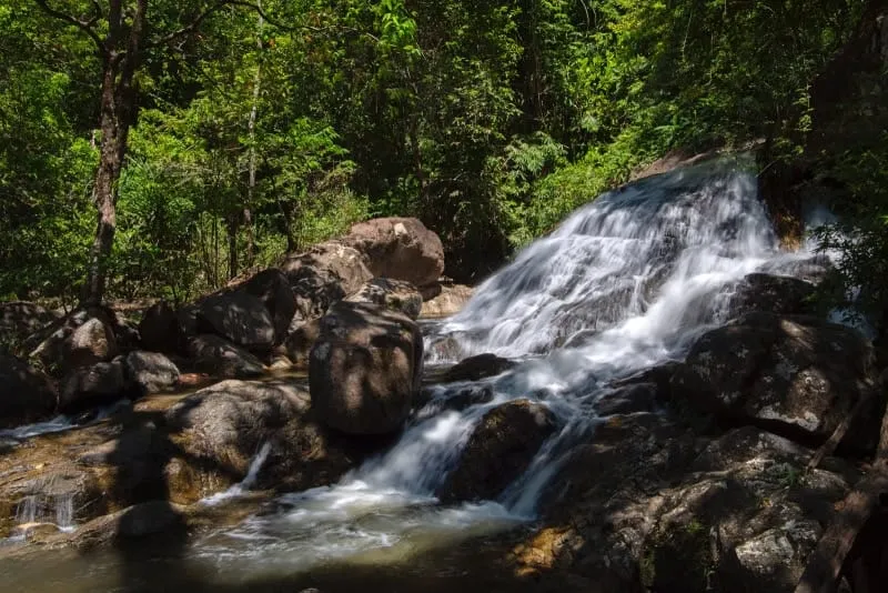 The Boripatra Forest Park