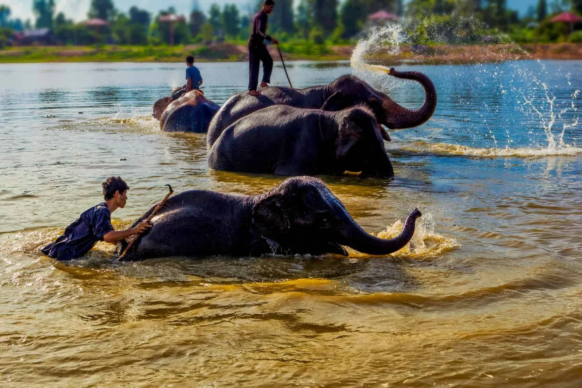 The Elephant Education Centre