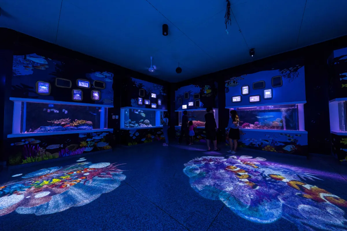 The Institute of Marine Science of Burapha University — photo 2