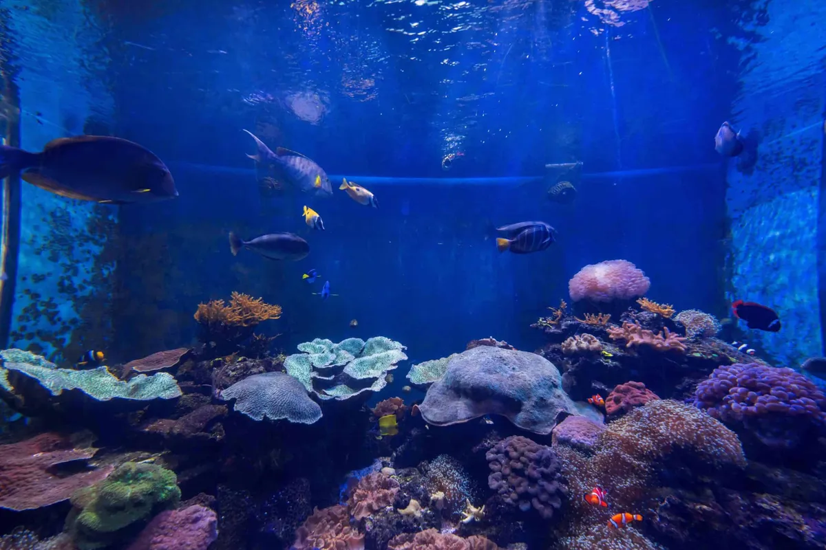 The Institute of Marine Science of Burapha University