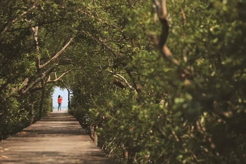 The Laem Phak Bia Royal Project