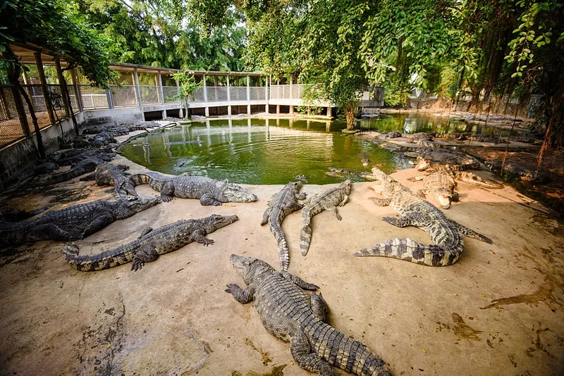 The Million Years Stone Park And Pattaya Crocodile — photo 2